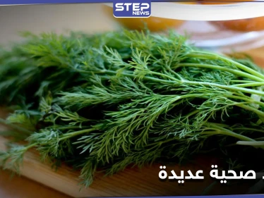 عشبة الشبت تمتلك فوائد صحية مذهلة.. تعرّف على 8 منها
