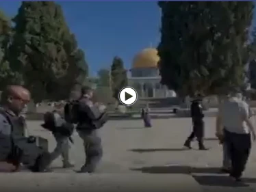 بعد دعوات لجمعة غضب.. جولات استفزازية ينفذها مستوطنون في باحات المسجد الأقصى (فيديو)