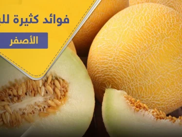 البطيخ الأصفر " الشمام" لصحة النظر والعظام وفوائد كثيرة لا تُحصى