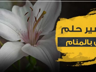 تفسير رؤية زنبق في الحلم والأزهار عموما لجميع أفراد العائلة