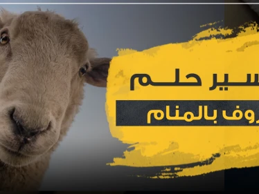 تفسير لحم الخروف بالمنام عند ابن سيرين لجميع أفراد العائلة