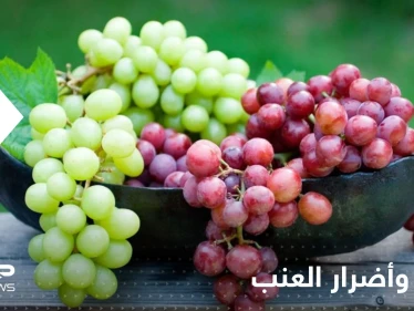 مع انتشار العنب بكثرة هذه الأوقات.. تعرف على الممنوعين من تناول تلك الفاكهة اللذيذة؟