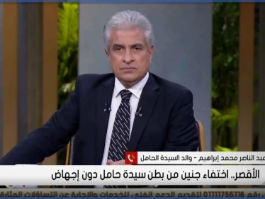 بالفيديو|| اختفاء أجنة توأم من رحم سيدة مصرية حامل بالشهر السادس