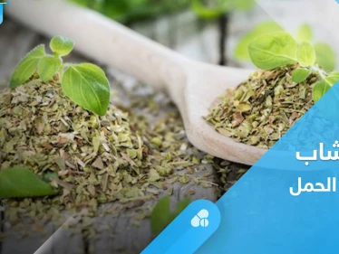 فوائد المردكوش والميرمية وهل هي آمنة للمرأة الحامل.. إليك أهم المعلومات