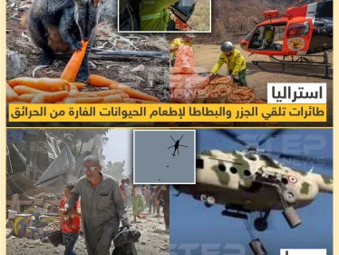 الفرق في استخدام الطيران بين سوريا و استراليا