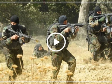 مسرّب|| مدني من رأس العين يتحدّث عن اعتداءات عناصر "الجيش الوطني" على النساء!!