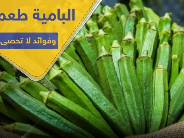 غير مذاقها الرائع.. هناك 10 فوائد للبامية أهمها تنظيف الرئتين وضبط السكر..
