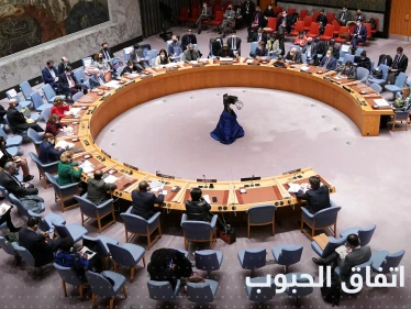 الأمم المتحدة تكشف حقيقة وجود سفن بممر الحبوب وقت هجوم سيفاستوبول