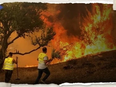الدرك الوطني الجزائري يعتقل المتسبب في حرائق عش الباز بولاية بجاية