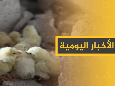 نشرة الأخبار اليومية  – الأحد 08 - 12 - 2019