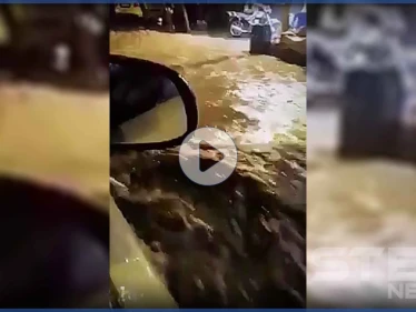 بالفيديو|| أمطار غزيرة في دمشق تسبب بإغلاق الطرقات وسيول الجارفة مع أول بشارات الشتاء