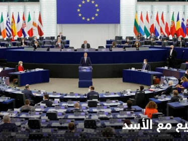 مندوبة بالبرلمان الأوروبي تعلق على تطبيع العلاقات مع الأسد وعودة اللاجئين السوريين إلى بلادهم