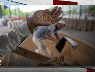 منها البطاطا.. المناخ يهدد غذاء العالم ويحكم على 5 أطعمة شائعة بالانقراض