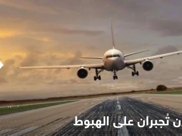 طائرتان تُجبران على الهبوط اضطرارياً بسبب الطيور ونوع من الفاكهة