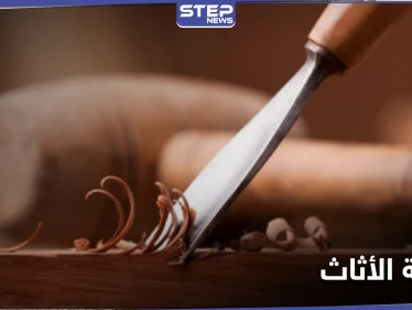زراعة الأثاث بدل تصنيعه.. دراسة علمية تبدأ تجاربها في المختبرات