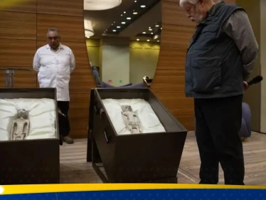 "لسنا وحدنا في هذا الكون".. عالم يرصد ما كشفه الحمض النووي لكائنات المكسيك الغريبة