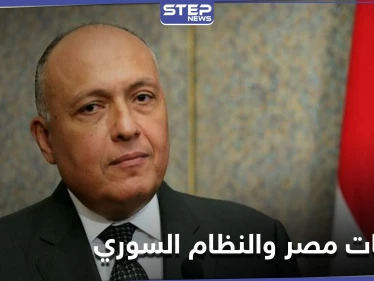 وزير الخارجية المصري يكشف أسباب عدم عودة علاقات مصر بالنظام السوري