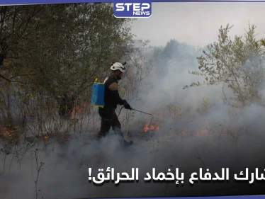 "الخوذ البيضاء" تعرض المساعدة بإخماد حرائق الساحل السوري.. إليك ردود الفعل المتبانية والهدف من البيان