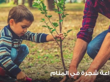 رؤية شجرة في المنام وزراعتها والاعتناء بها ودلالته على الواقع
