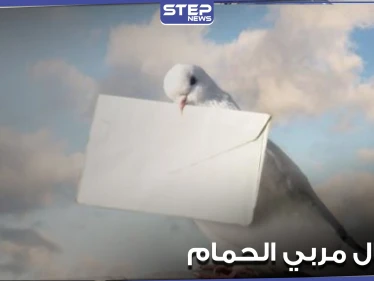 النظام السوري يعتقل عدداً من مربي الحمام بتدمر بتهمة خلق قنوات اتصال مع "داعش"