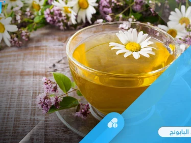 فوائد البابونج للقلب والأكزيما وأمراض أخرى.. وخطورته على فئة معينة تعرف عليها