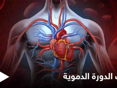 8 علامات وأعراض لضعف الدورة الدموية وأثرها على عمل الكلى وأعضاء أخرى