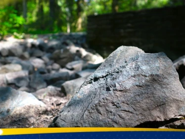 ظنها صخرة عادية واحتفظ بها 10 أعوام.. ثم اكتشف أنها نيزك نادر أندر من الذهب - وكالة ستيب نيوز