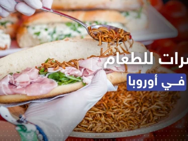 صراصير المنزل واليرقات باتت مسموحة كمصدر للغذاء في الاتحاد الأوروبي