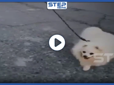 بالفيديو || وسط حظر التجول.. رجل يبتكر طريقة مميزة لتسيير كلبه خوفًا من كورونا