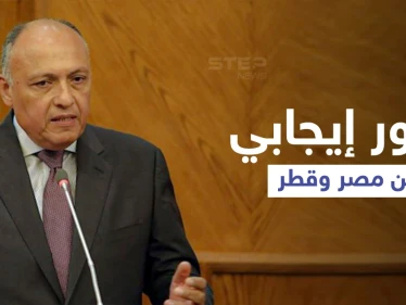 وزير الخارجية المصري يشير إلى "قضايا عالقة" مع تركيا وتطور هام مع قطر