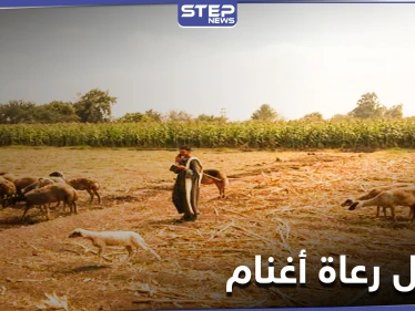 مقتل 7 رعاة أغنام في بادية البوكمال.. والميليشيات الإيرانية تراقب بصمت