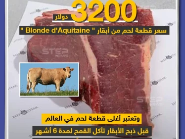 أغلى قطعة لحم في العالم بسعر 3200 دولار