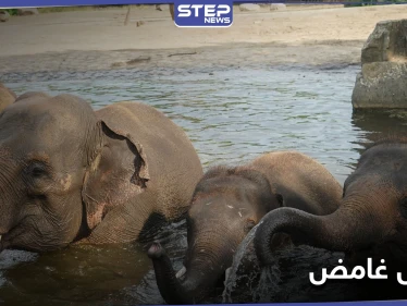 "بانتظار الفحوص المختبرية" مرض غامض يضرب في زيمبابوي.. إليك تفاصيله