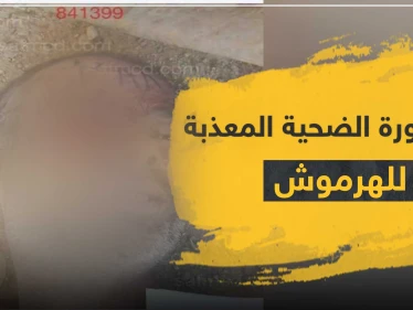 ما حقيقة الصورة المتداولة التي نسبت للمقدم حسين الهرموش.. عائلته تصرح