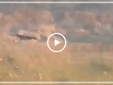 شاهد بالفيديو: لحظة إصابة دشمة لقوّات النظام على جبهة الحماميات بريف حماة - وكالة ستيب نيوز