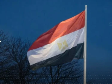 مصر تصدر بياناً بشأن "لحوم محقونة بهرمونات محظورة في البلاد"