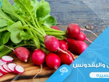 رؤية الفجل في المنام باختلاف ألوانه وأحواله ودلالة ذلك عند المعبرين