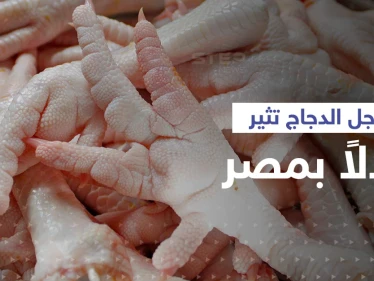 "أرجل الدجاج" تثير جدلاً كبيراً في مصر.. الحكومة تُعلّق بعد غضب شعبي