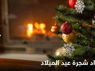 السعودية تحسم الجدل حول السماح باستيراد شجرة الكريسماس.. وخلفان يغرد بسبب الهالوين