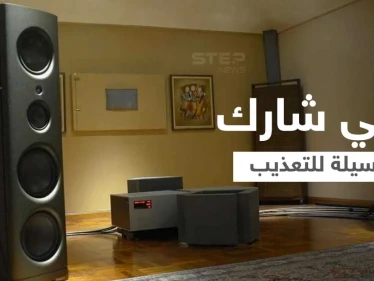 أغنية "بيبي شارك" الشهيرة إحدى وسائل التعذيب... معتقلون يكشفون كيف استخدمت أغنية الأطفال للإساءة إليهم في المعتقلات