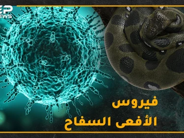 "كورونا" سلاح الأفاعي الجديد لقتل البشر.. هل حقاً فناء البشرية على يد الفيروسات التاجية!؟