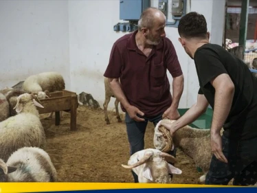عيد الأضحى: عندما تخرج الأمور عن السيطرة.. تسجيل آلاف الإصابات في تركيا