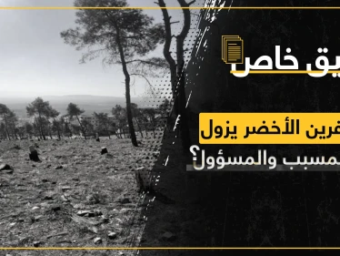 غابات عفرين تتحول إلى صحراء جرداء وجهات نافذة تبني ثروات على حساب قوت الناس