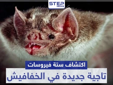 "غير كورونا" اكتشاف 6 فيروسات تاجية جديدة في الخفافيش.. تعرف عليها