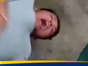 بالفيديو|| نمر ضخم ينقض على سائح حاول أخذ لقطة سيلفي معه