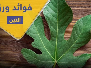 فوائد ورق التين لعلاج السكري والقلب وأعراضه الجانبية