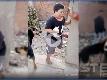غضب مصري عارم على شابين أرهبا طفل من ذوي الاحتياجات الخاصة بكلب.. والسلطات تتحرك (فيديو)