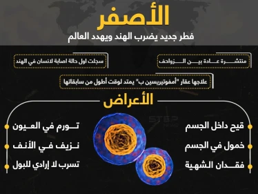 الفطر الأصفر.. خطر جديد يهدد العالم ماذا تعرف عنه؟