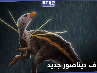اكتشاف ديناصور بحجم الدجاجة يُكنّى بـ "سيد الرماح" مزود بإبر ويشبه الطاؤوس