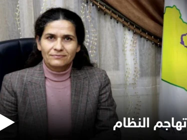 رئيسة "مسد" تفتح النار على النظام السوري: يرى في الحسم العسكري حلاً وحيداً للملف السوري